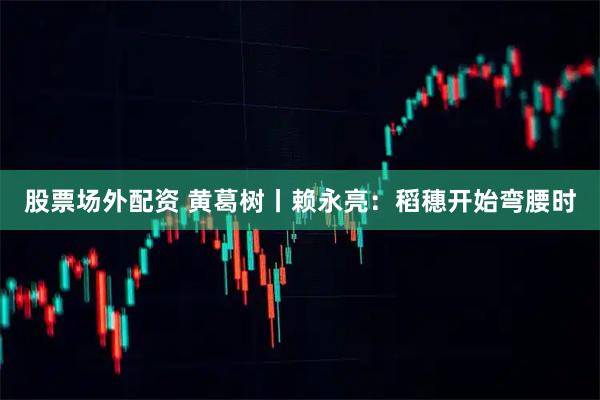 股票场外配资 黄葛树丨赖永亮:稻穗开始弯腰时