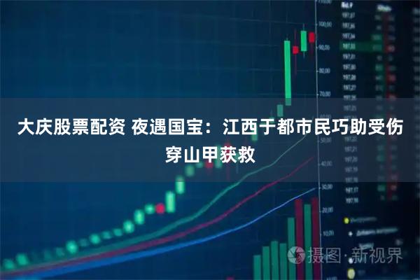 大庆股票配资 夜遇国宝：江西于都市民巧助受伤穿山甲获救