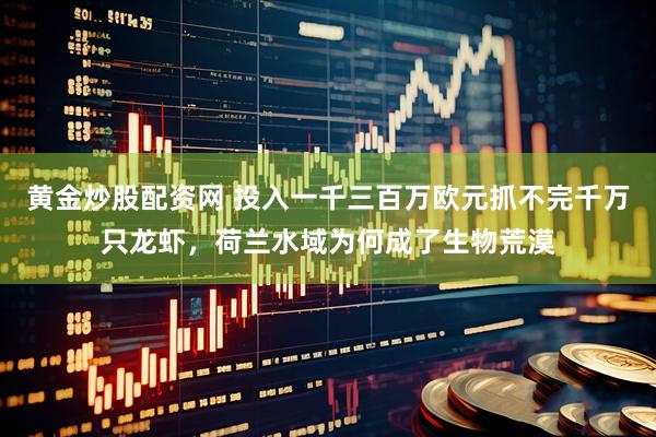黄金炒股配资网 投入一千三百万欧元抓不完千万只龙虾，荷兰水域为何成了生物荒漠